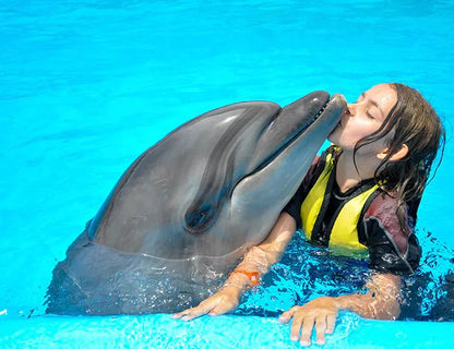 Hurghada: Dolphin World Show Entry Tickets with Hotel Pickup