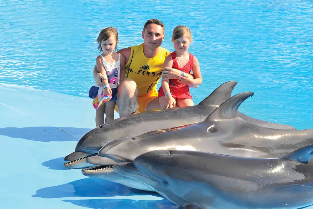 Hurghada: Dolphin World Show Entry Tickets with Hotel Pickup
