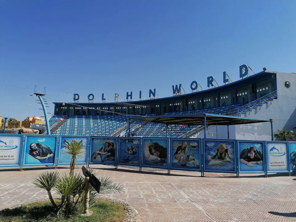 Hurghada: Dolphin World Show Entry Tickets with Hotel Pickup