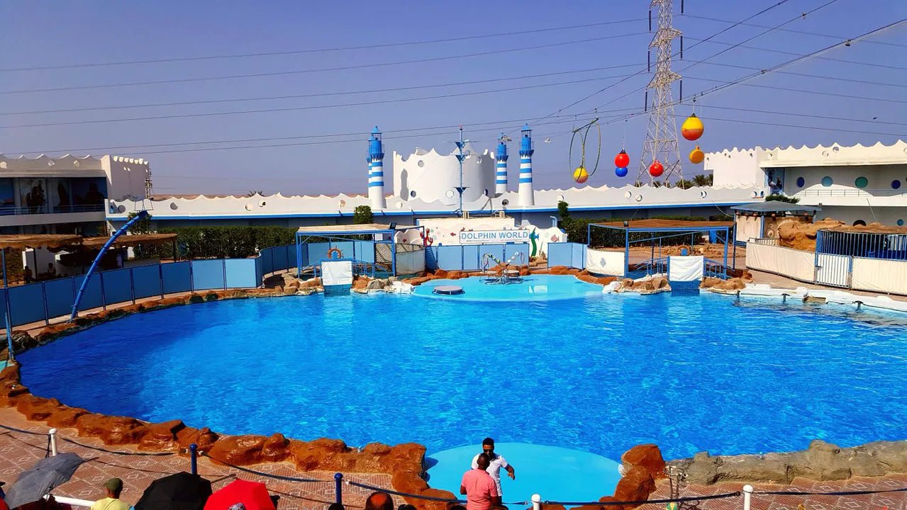 Hurghada: Dolphin World Show Entry Tickets with Hotel Pickup