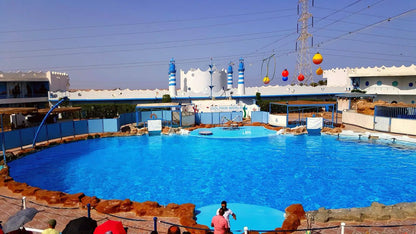 Hurghada: Dolphin World Show Entry Tickets with Hotel Pickup