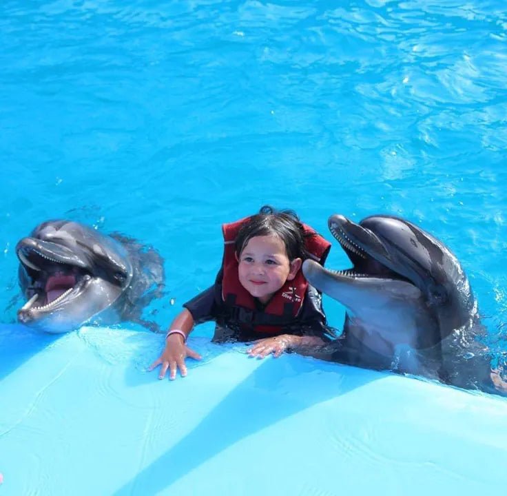 Hurghada: Dolphin World Show Entry Tickets with Hotel Pickup
