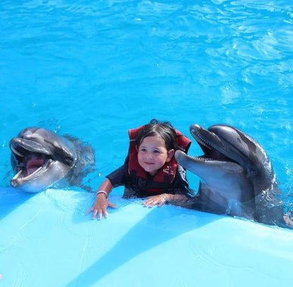Hurghada: Dolphin World Show Entry Tickets with Hotel Pickup