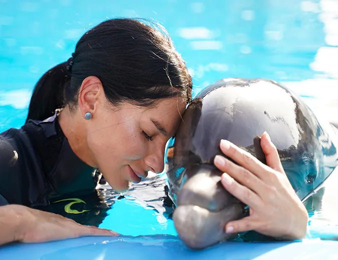 Hurghada: Dolphin World Show Entry Tickets with Hotel Pickup