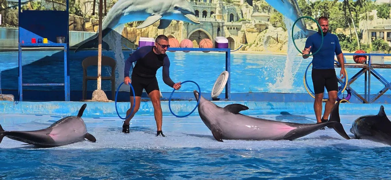 Hurghada: Dolphin World Show Entry Tickets with Hotel Pickup