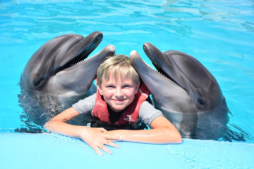 Hurghada: Dolphin World Show Entry Tickets with Hotel Pickup