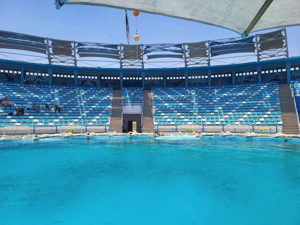 Hurghada: Dolphin World Show Entry Tickets with Hotel Pickup