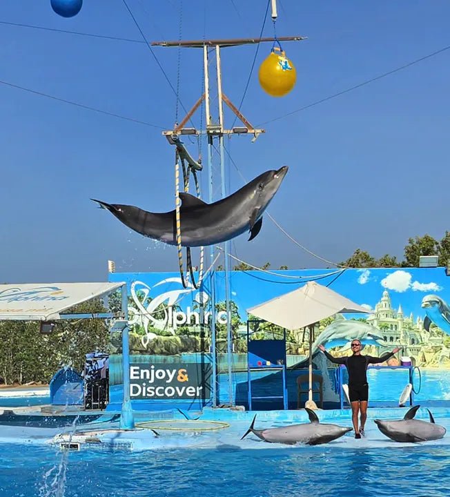 Hurghada: Dolphin World Show Entry Tickets with Hotel Pickup