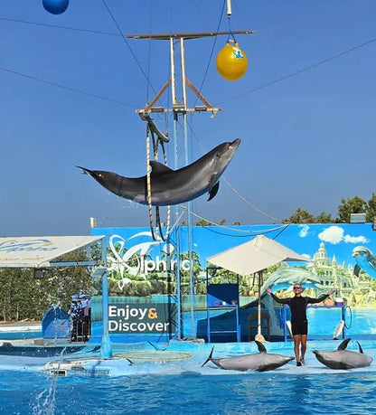 Hurghada: Dolphin World Show Entry Tickets with Hotel Pickup