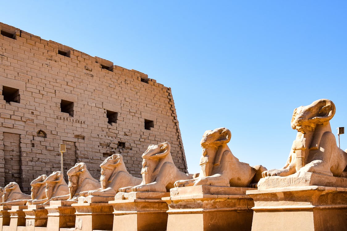 Hurghada: Private Day Trip to Luxor