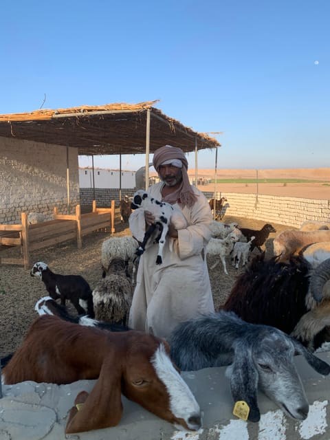 Hurghada: Stargazing and Bedouin Farm Desert Safari with Dinner