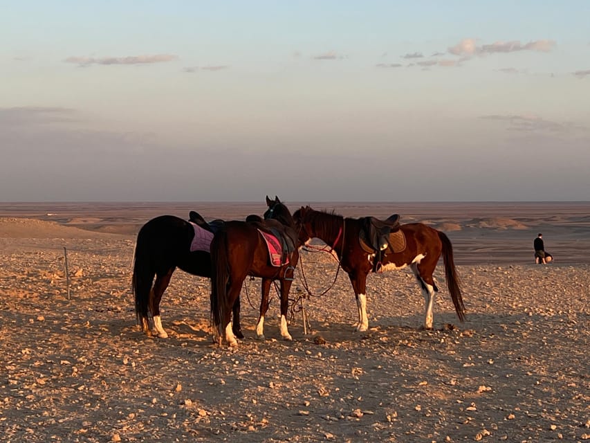 Hurghada: Stargazing and Bedouin Farm Desert Safari with Dinner