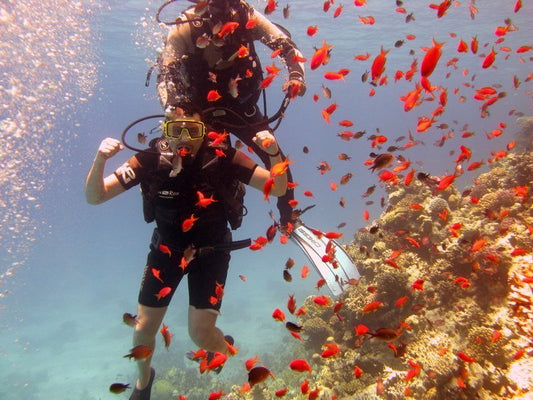 シャルム・エル・シェイク：ボートで行くティラン島ツアー
