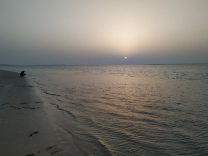 Doha: Day or Night Desert Safari, Stargazing and Optional Camel Ride