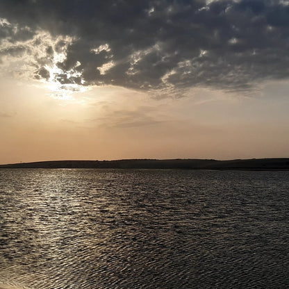 Doha: Day or Night Desert Safari, Stargazing and Optional Camel Ride