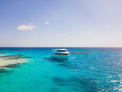 Marsa Alam: excursie cu barca de snorkeling la Marsa Mubarak cu prânz