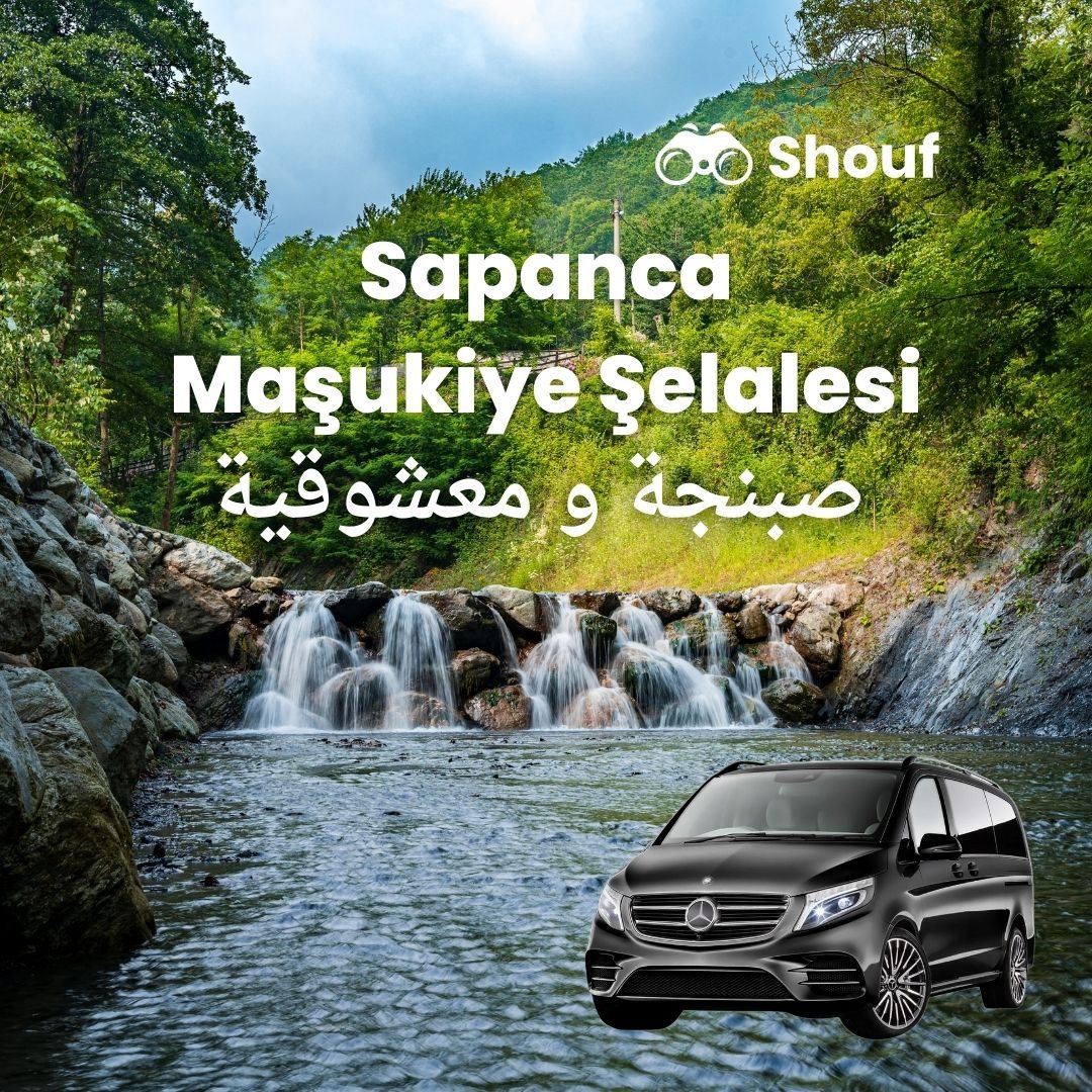Istanbul: Full Day Private Car or Van Rental with Driver