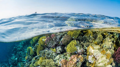 Jeddah: Bayadah Island Private Boat Tour and Snorkeling Tour