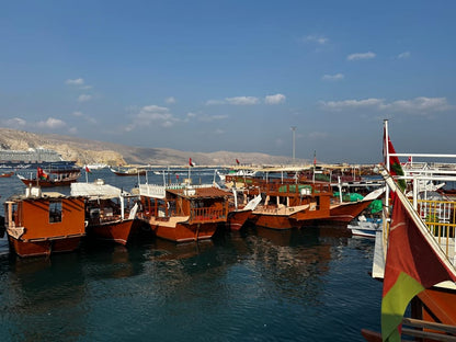 Khasab: Half - Day Dhow Cruise with Dolphin Watching and Telegraph Island Swim