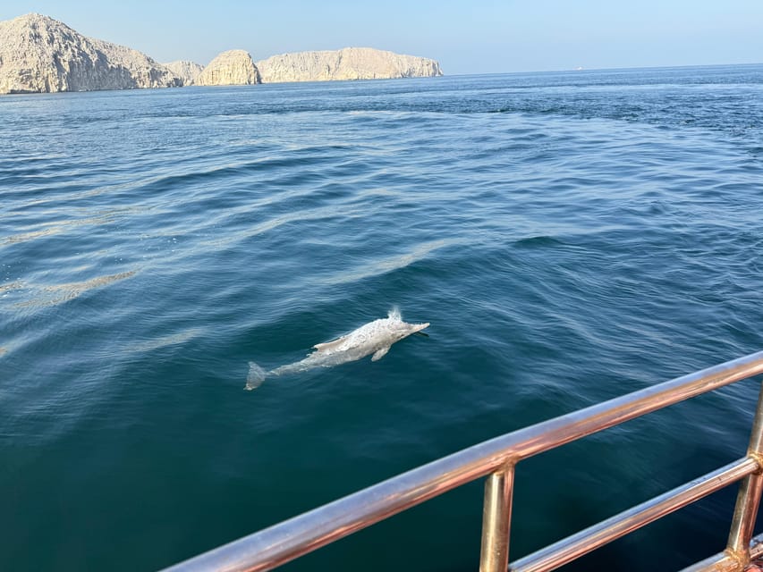 Khasab: Half - Day Dhow Cruise with Dolphin Watching and Telegraph Island Swim