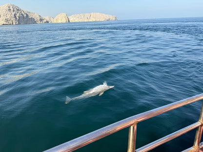 Khasab: Half - Day Dhow Cruise with Dolphin Watching and Telegraph Island Swim