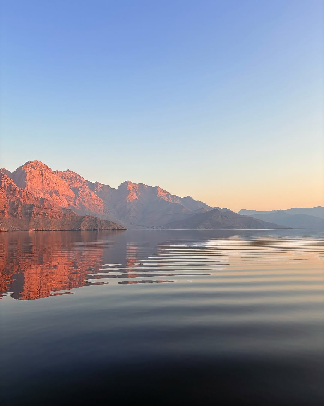 Khasab: Half - Day Dhow Cruise with Dolphin Watching and Telegraph Island Swim