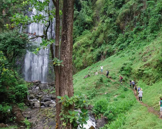 Kilimanjaro: Materuni Village Walk, Coffee Tour, Waterfall and Traditional Lunch