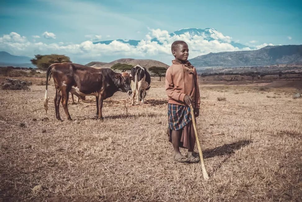 Kilimanjaro: Materuni Waterfall Hike, Coffee Experience and Maasai Village Visit