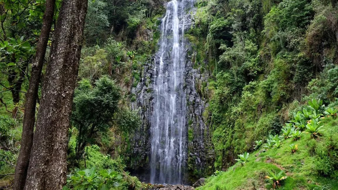 Kilimanjaro: Materuni Waterfall Hike, Coffee Experience and Maasai Village Visit