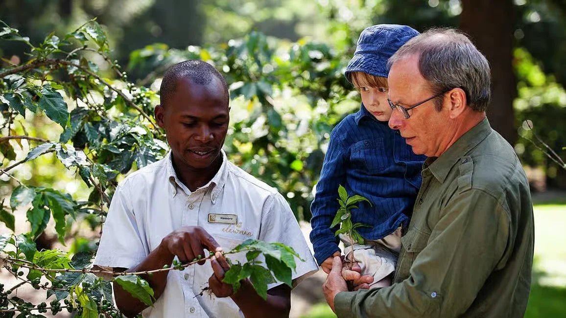 Kilimanjaro: Materuni Waterfall Hike, Coffee Experience and Maasai Village Visit