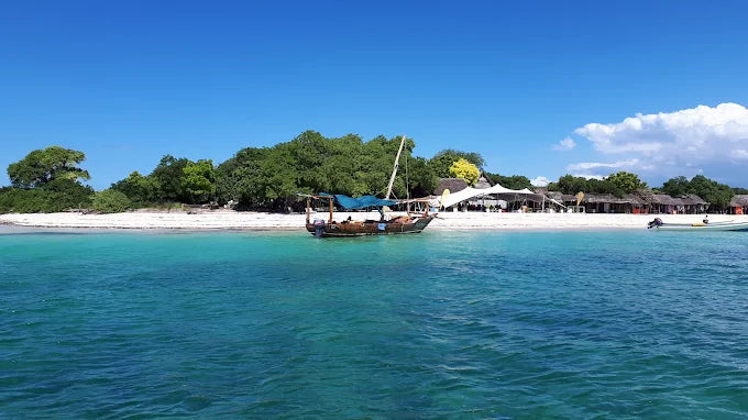 Zanzibar: Safari Blue Cruise and Kwale Island Tour