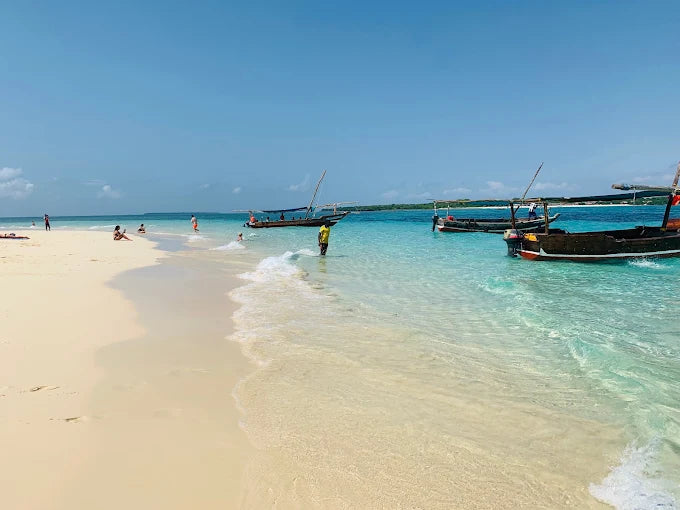 Zanzibar: Safari Blue Cruise and Kwale Island Tour
