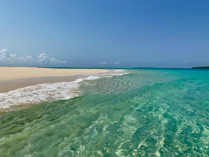 Zanzibar: Safari Blue Cruise and Kwale Island Tour
