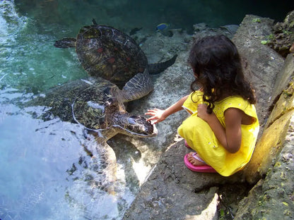 Zanzibar: Mnemba Island Snorkeling and Kendwa Beach Private Tour