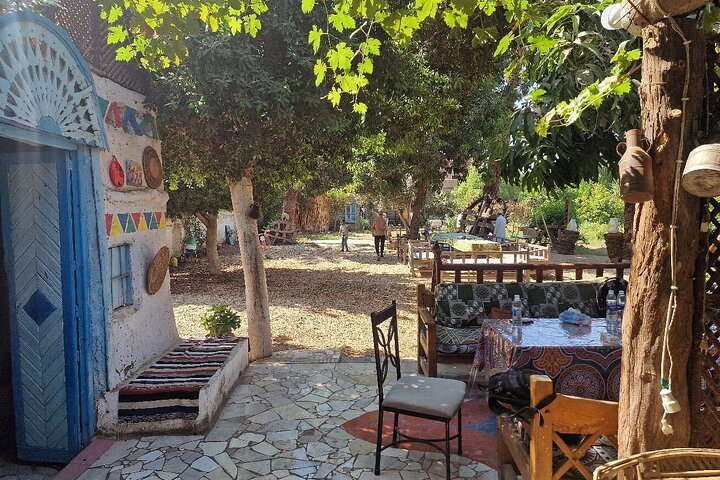 Luxor: Private Cooking Class and Authentic Farm Tour with a local guide