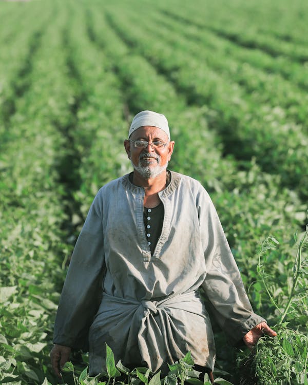 Luxor: Private Cooking Class and Authentic Farm Tour with a local guide