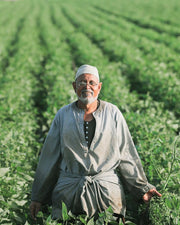 Luxor: Private Cooking Class and Authentic Farm Tour with a local guide