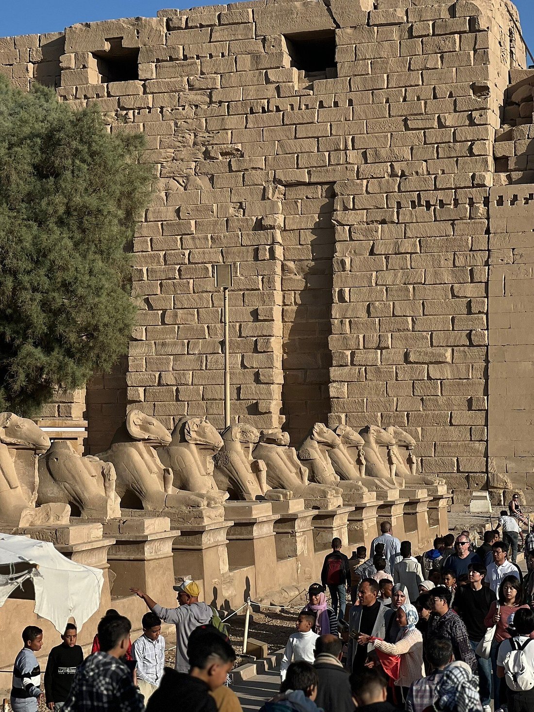 Luxor: Private Full - Day Cultural and Culinary Food Tour