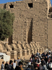 Luxor: Private Full - Day Cultural and Culinary Food Tour