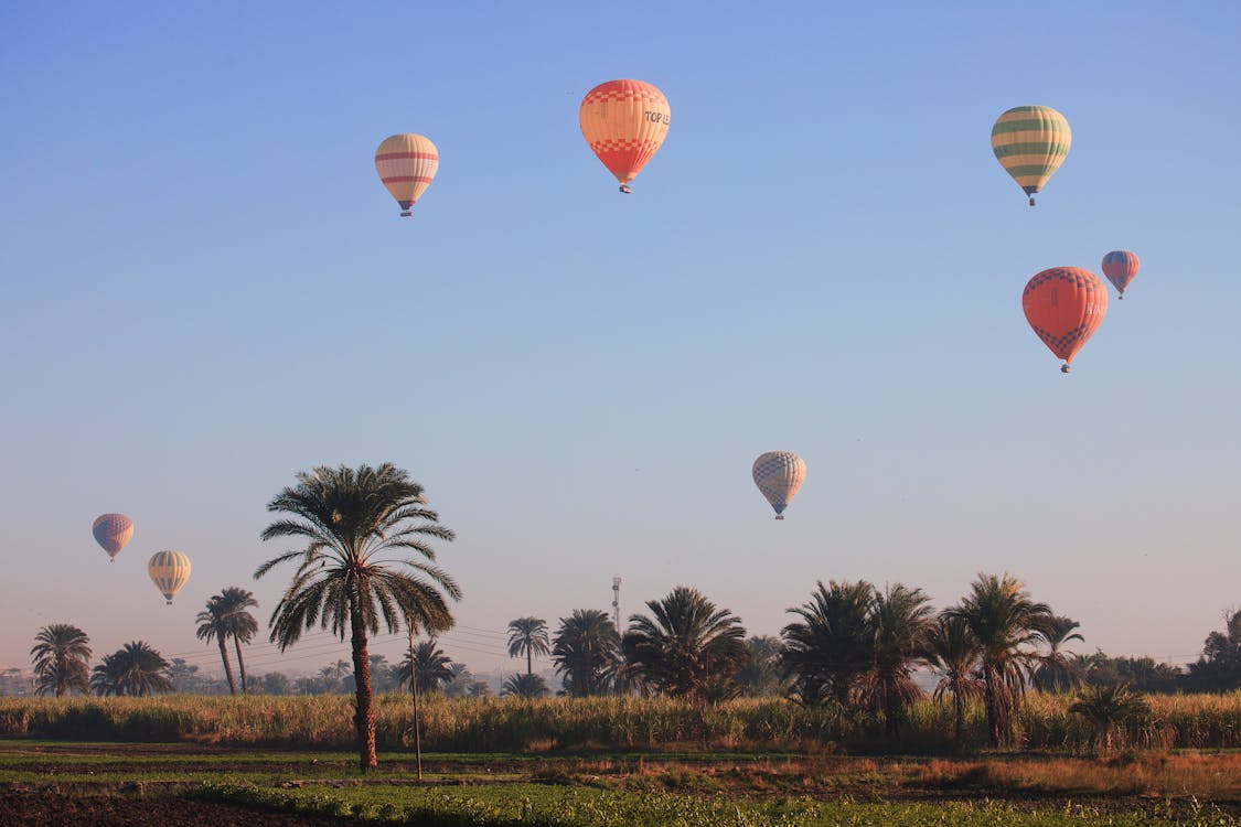 Luxor: Private Full - Day Hot Air Balloon, East and West Bank Tour
