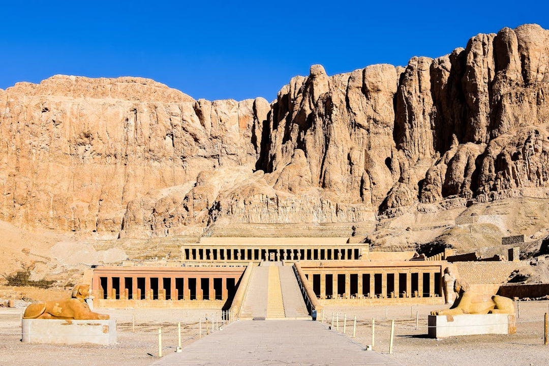 Luxor: Private Guided Tour to East and West Bank