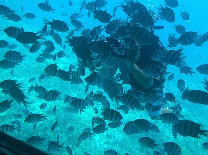 Makadi Bay: Royal Seascope Cruise and Snorkeling Trip
