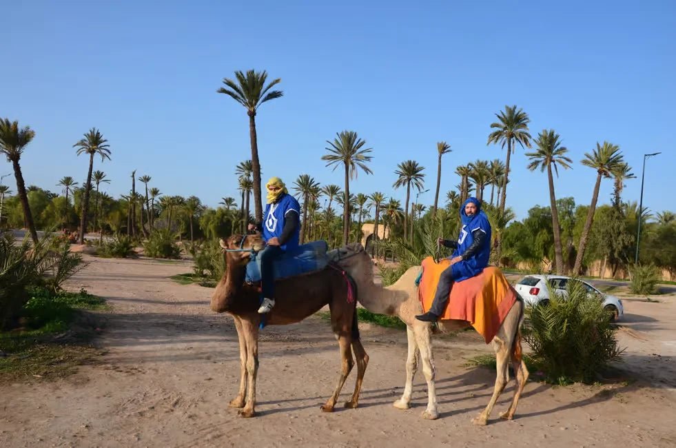 Marrakech: Camel Ride in Palmeraie with Tea Break and Optional Quad Bike