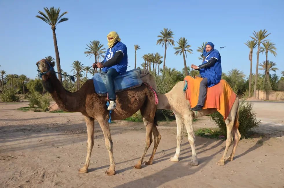 Marrakech: Camel Ride in Palmeraie with Tea Break and Optional Quad Bike