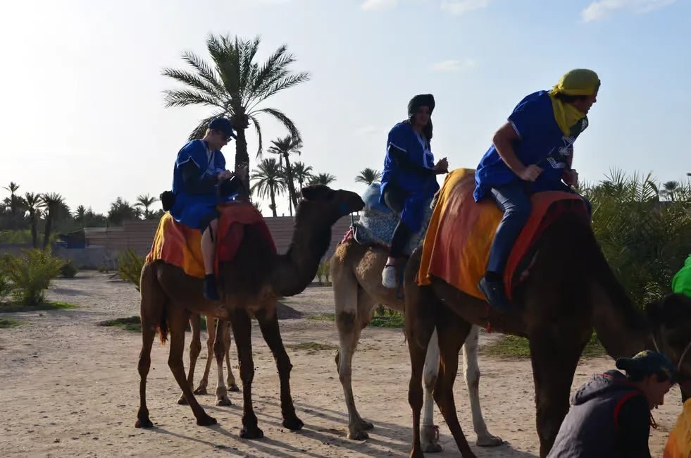 Marrakech: Camel Ride in Palmeraie with Tea Break and Optional Quad Bike
