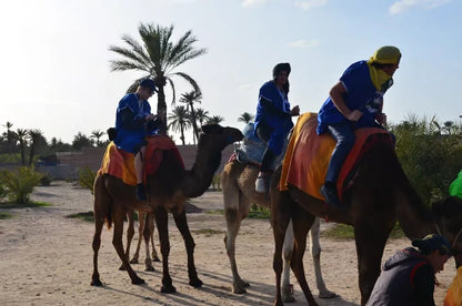 Marrakech: Camel Ride in Palmeraie with Tea Break and Optional Quad Bike
