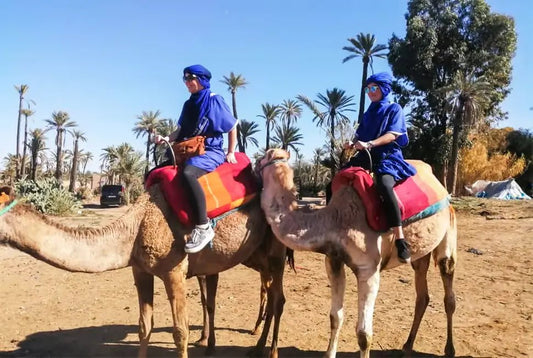 Marrakech: Camel Ride in the Oasis Palmeraie with Hotel Pickup