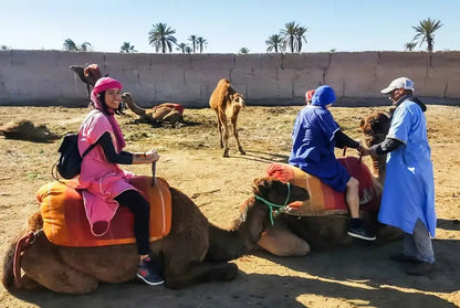 Marrakech: Camel Ride in the Oasis Palmeraie with Hotel Pickup