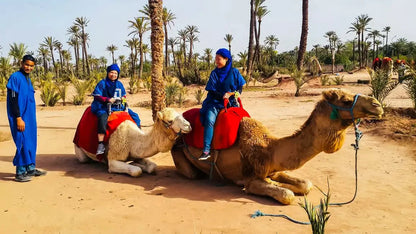 Marrakech: Camel Ride in the Oasis Palmeraie with Hotel Pickup