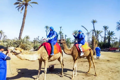 Marrakech: Camel Ride in the Oasis Palmeraie with Hotel Pickup